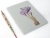 Crocus. Botanical Journal by Fabulous Cat Papers