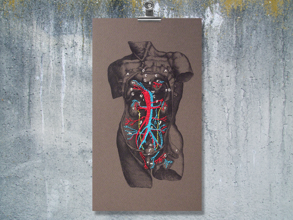 Dissection Of A Male Torso Paper Embroidery By Fabulous Cat Papers 