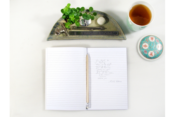 Brain Anatomy Journal by Fabulous Cat Papers