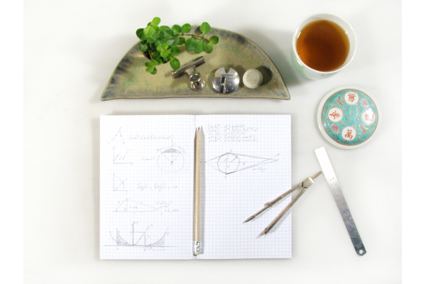 Brain Anatomy Journal by Fabulous Cat Papers