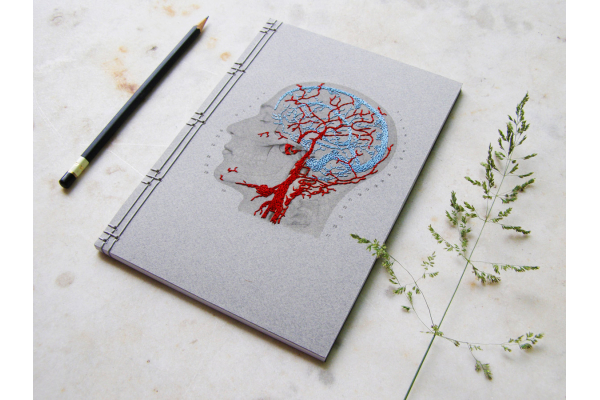 Brain Anatomy Journal by Fabulous Cat Papers