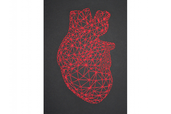 Red Heart Anatomy Journal by Fabulous Cat Papers