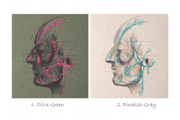 Facial Nerves by Fabulous Cat Papers
