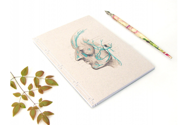 Facial Nerves by Fabulous Cat Papers