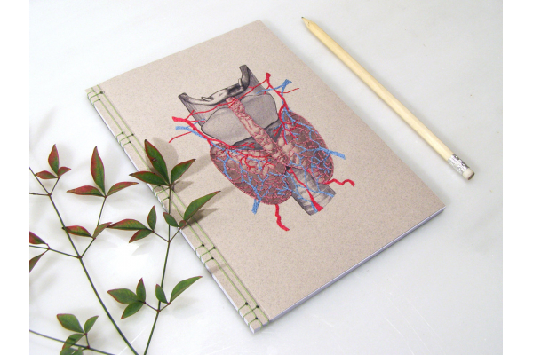 Thyroid Gland Journal by Fabulous Cat Papers