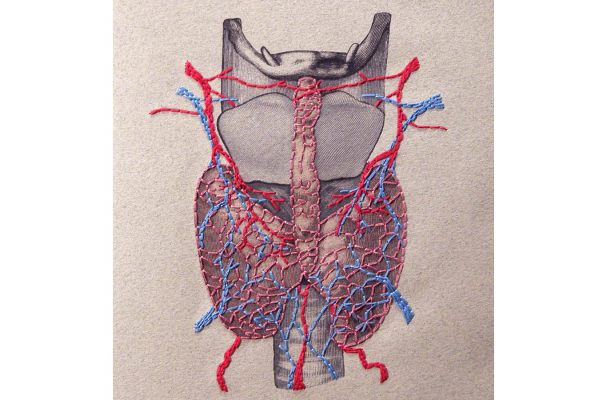 Thyroid Gland Journal by Fabulous Cat Papers