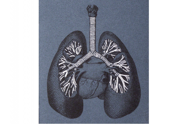 Lungs Anatomy. Paper Embroidery by Fabulous Cat Papers