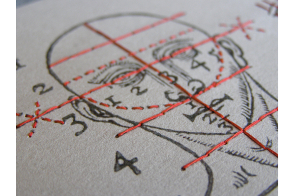 Proportions and Measures of the Head by Fabulous Cat Papers