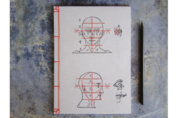 Proportions and Measures of the Head by Fabulous Cat Papers