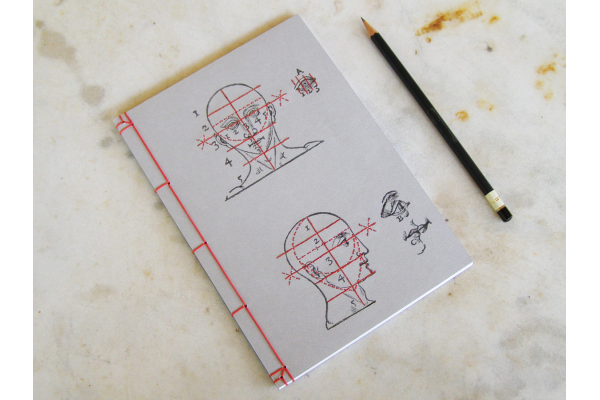 Proportions and Measures of the Head by Fabulous Cat Papers