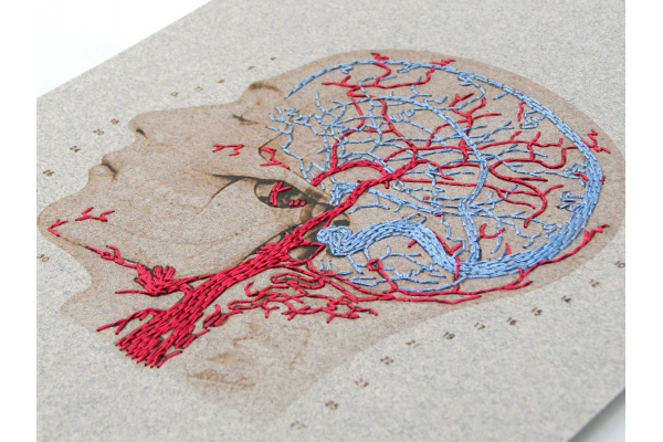 Brain Anatomy Art. Veins and Arteries of the Head by Fabulous Cat Papers