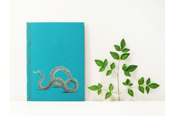 Sea Snake Journal by Fabulous Cat Papers