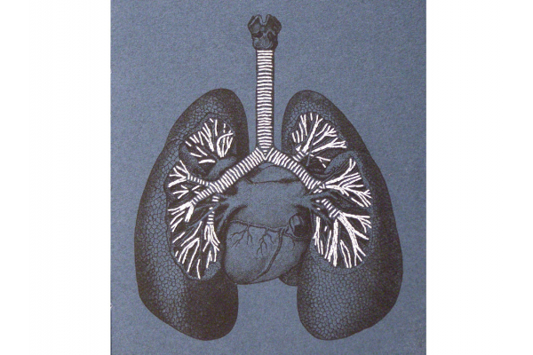 Lungs Anatomy Journal by Fabulous Cat Papers