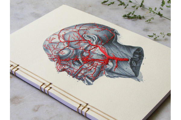 Anatomy Journal. Head by FabulousCatPapers