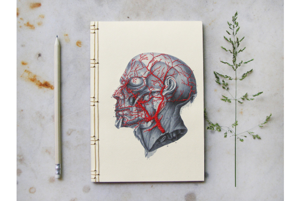 Anatomy Journal. Head by FabulousCatPapers