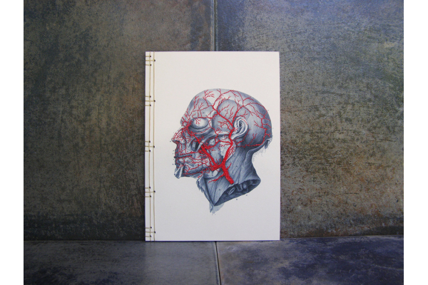 Anatomy Journal. Head by FabulousCatPapers