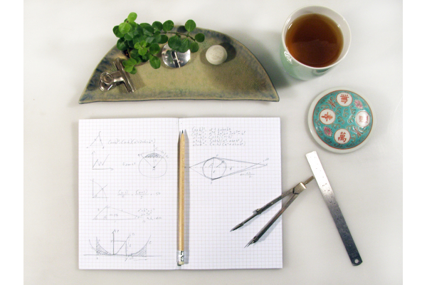 Anatomy Journal. Head and Torso by Fabulous Cat Papers
