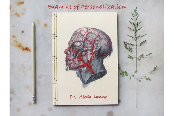 Anatomy Journal. Head by FabulousCatPapers