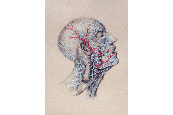 Nerves. Anatomical Paper Embroidery by Fabulous Cat Papers