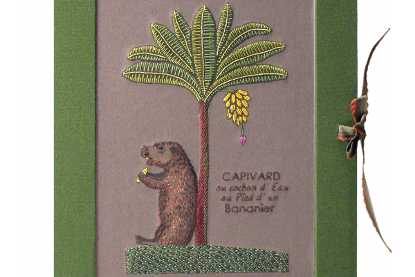 Capivara Box Close Up