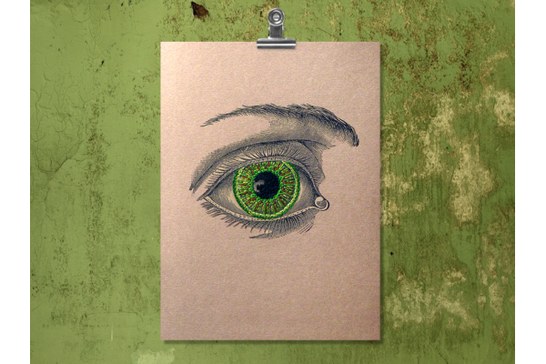 Vintage Eye. Paper Embroidery by Fabulous Cat Papers