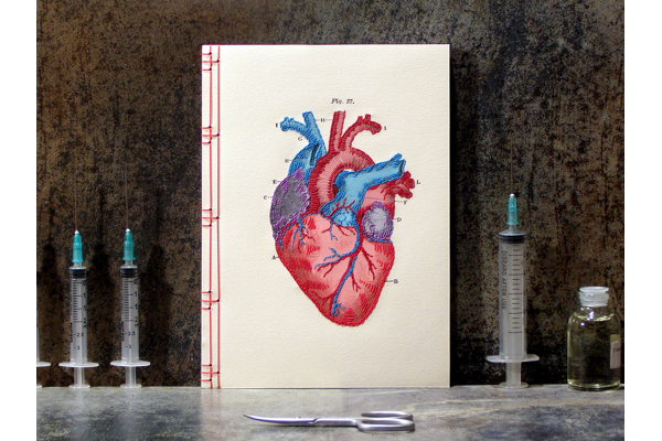 Heart Anatomy Journal by Fabulous Cat Papers