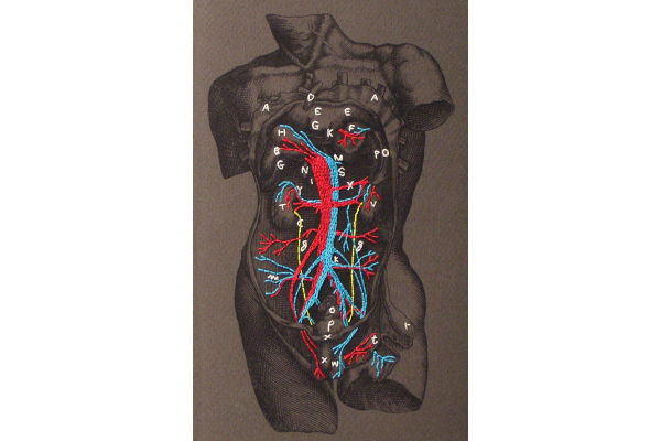 Dissection of a Male Torso Journal by Fabulous Cat Papers