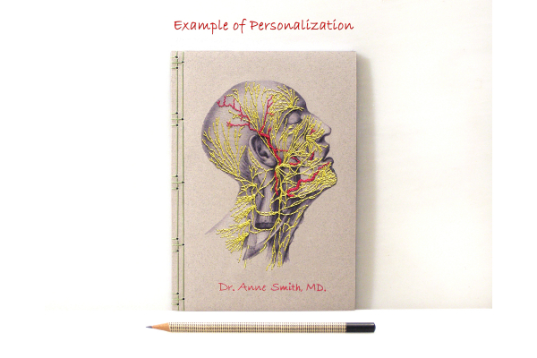 Nervous System of the Head by Fabulous Cat Papers