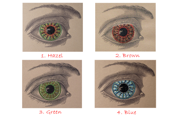 Vintage Eye. Paper Embroidery by Fabulous Cat Papers