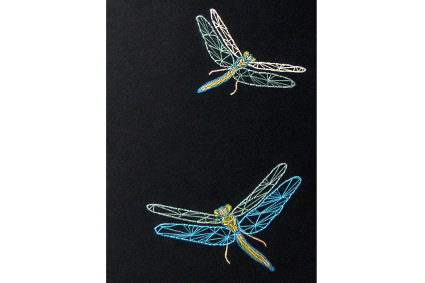 Dragonfly Journal by Fabulous Cat Papers