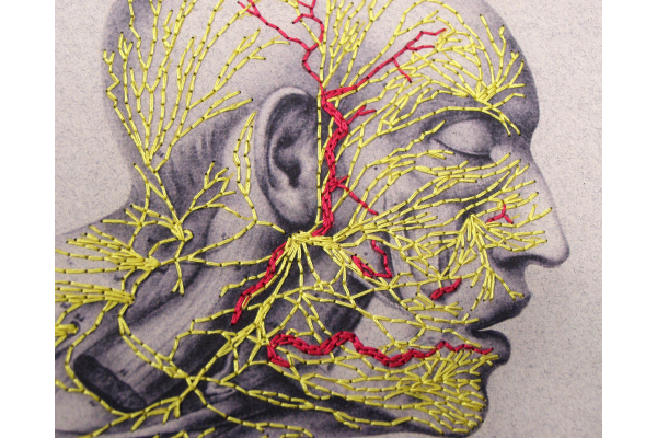 Nervous System of the Head. Paper Embroidery by Fabulous Cat Papers