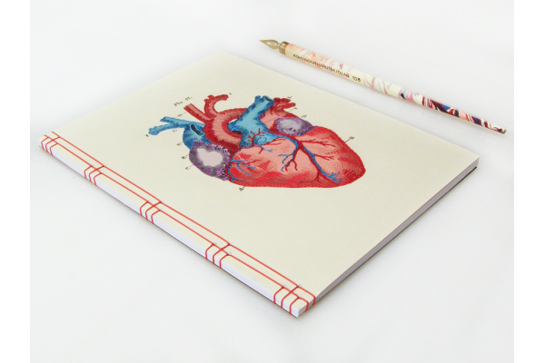 Heart Anatomy Journal by Fabulous Cat Papers
