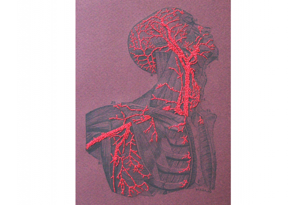 Anatomy Journal. Head and Torso by Fabulous Cat Papers