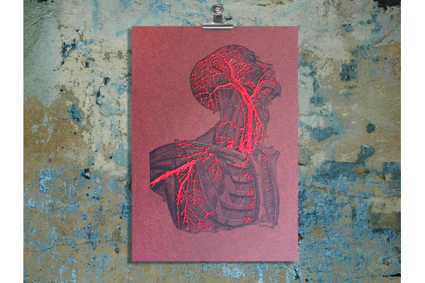 Torso & Head Anatomy. Paper Embroidery by Fabulous Cat Papers