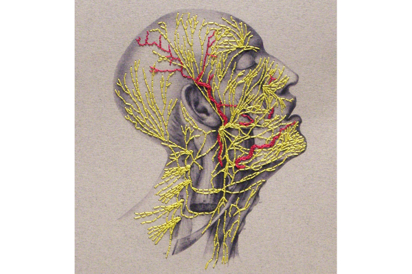 Nervous System of the Head. Paper Embroidery by Fabulous Cat Papers