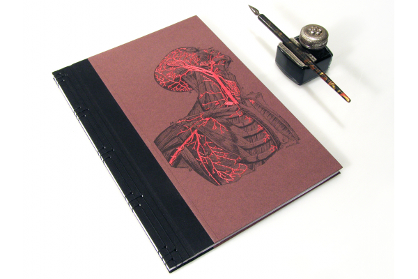 Anatomy Book. Torso and Head by Fabulous Cat Papers