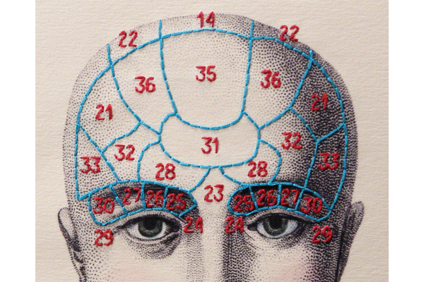 Phrenology Journal by Fabulous Cat Papers