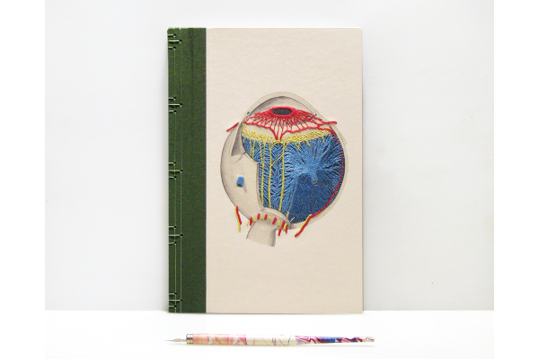 Eye Anatomy Book by Fabulous Cat Papers