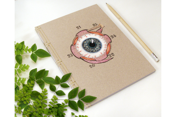 Eye Anatomy Journal by Fabulous Cat Papers