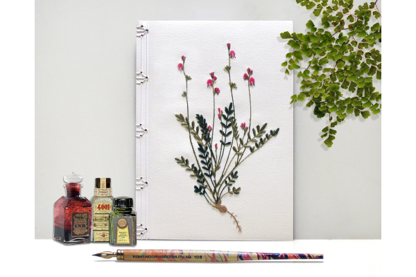 Sainfoin. Botanical Journal by Fabulous Cat Papers