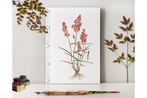 Natal Grass. Botanical Journal by Fabulous Cat Papers