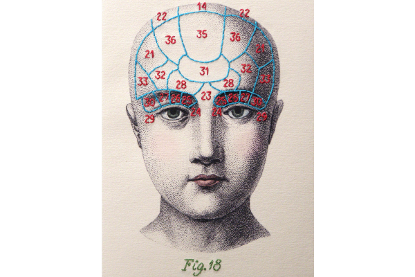 Phrenology Journal by Fabulous Cat Papers
