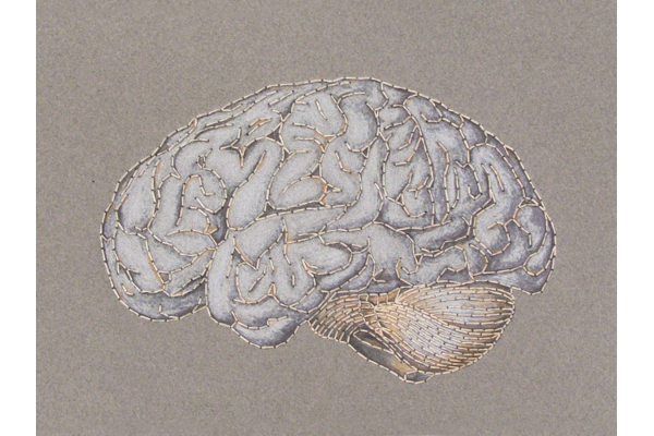 Anatomical Brain. Paper Embroidery by Fabulous Cat Papers