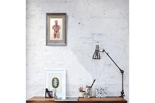 Circulatory System of the Human Body. Embroidered Anatomy by Fabulous Cat Papers
