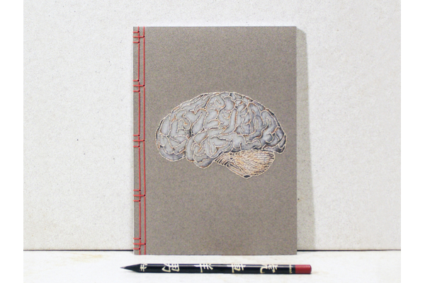 Brain Anatomy Journal by Fabulous Cat Papers