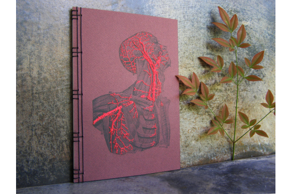 Anatomy Journal. Head and Torso by Fabulous Cat Papers