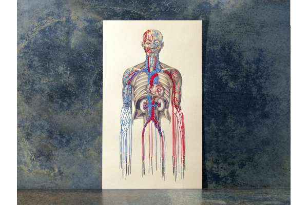Bleeding by Needles by Fabulous Cat Papers