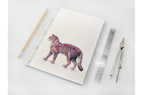 Cat Anatomy Journal by Fabulous Cat Papers