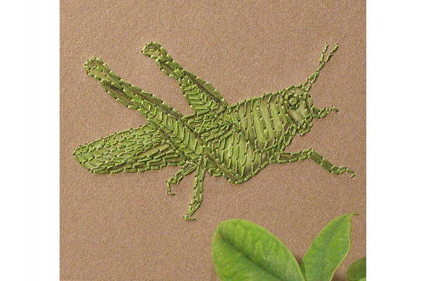 Grasshopper by Fabulous Cat Papers