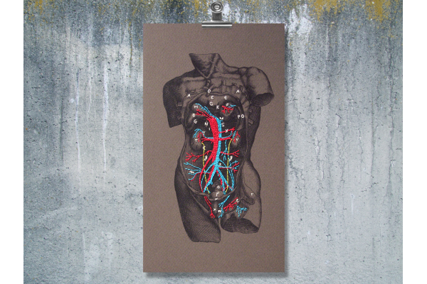 Dissection of a Male Torso. Paper Embroidery by Fabulous Cat Papers